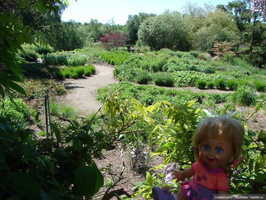 Фейсинки гуляют по заповеднику