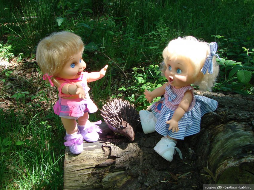 Фейсинки гуляют по заповеднику