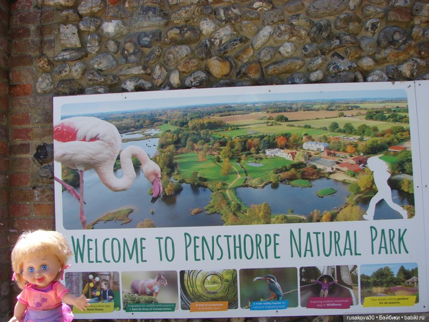 Фейсинки гуляют по заповеднику