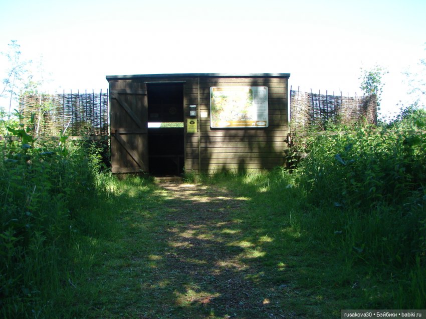 Фейсинки гуляют по заповеднику