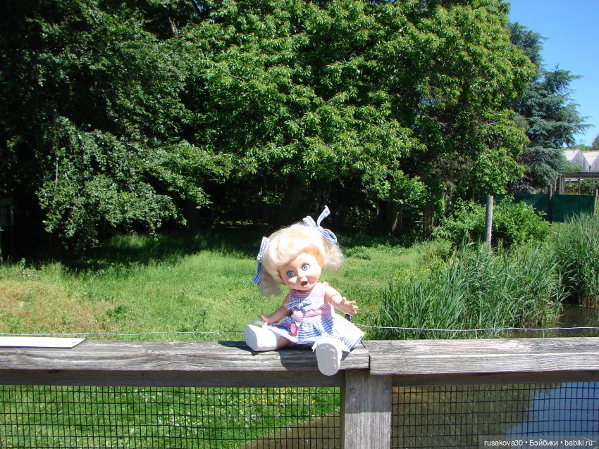 Фейсинки гуляют по заповеднику (фото 9)