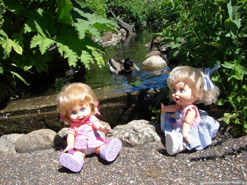 Фейсинки гуляют по заповеднику (фото 10)