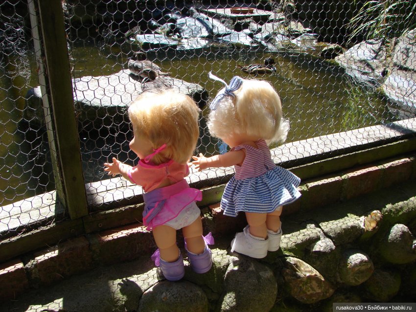 Фейсинки гуляют по заповеднику