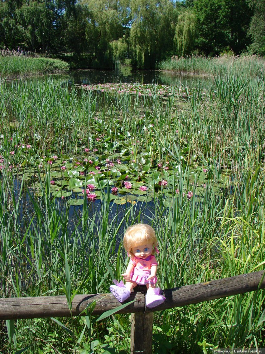 Фейсинки гуляют по заповеднику