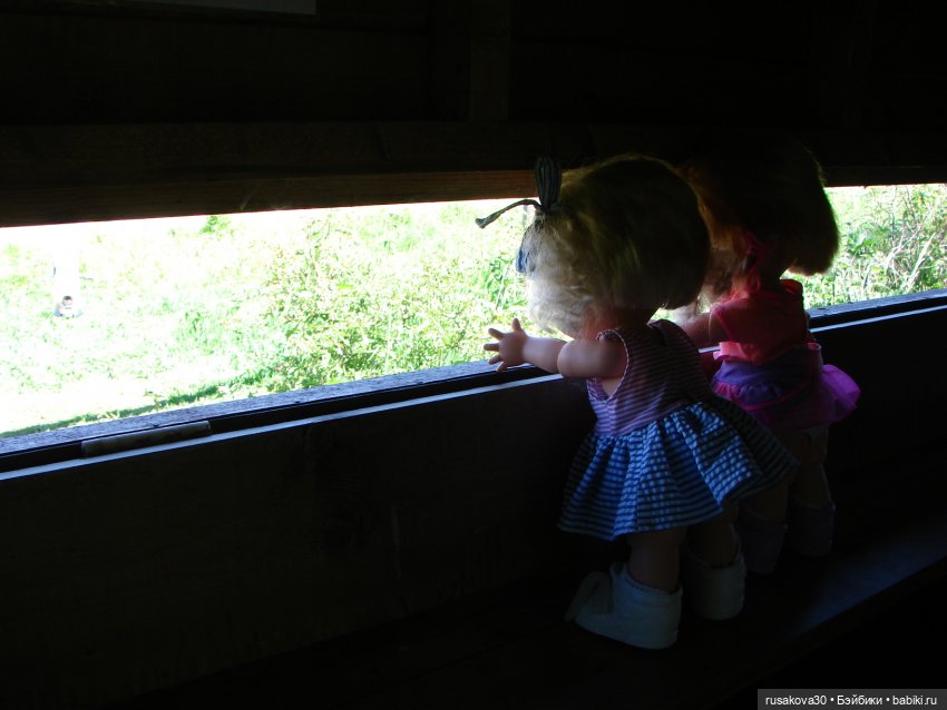 Фейсинки гуляют по заповеднику