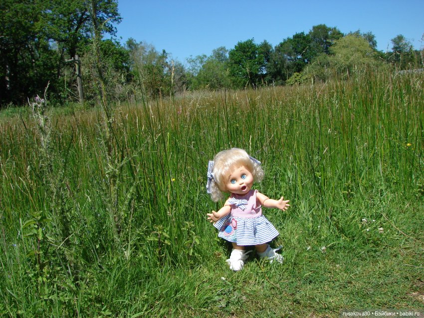 Фейсинки гуляют по заповеднику