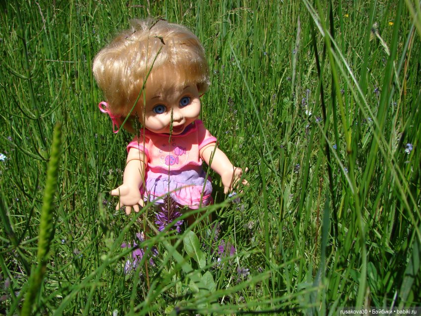 Фейсинки гуляют по заповеднику