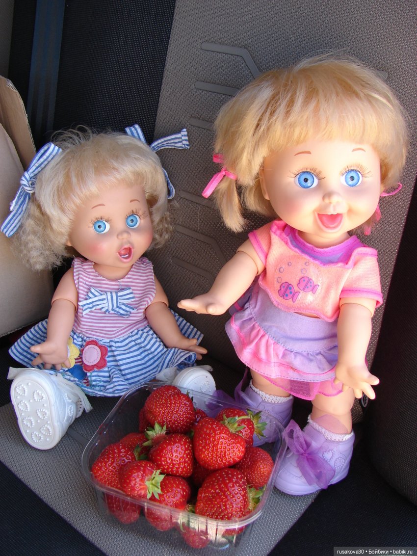 Фейсинки гуляют по заповеднику