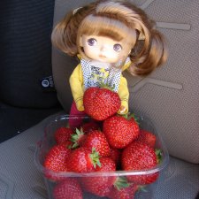 Маруся путешествует