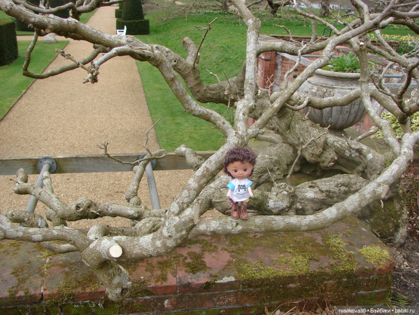 Мальчик Проша — Игровые куклы разных производителей (Разное): редкие бренды (фото 5)