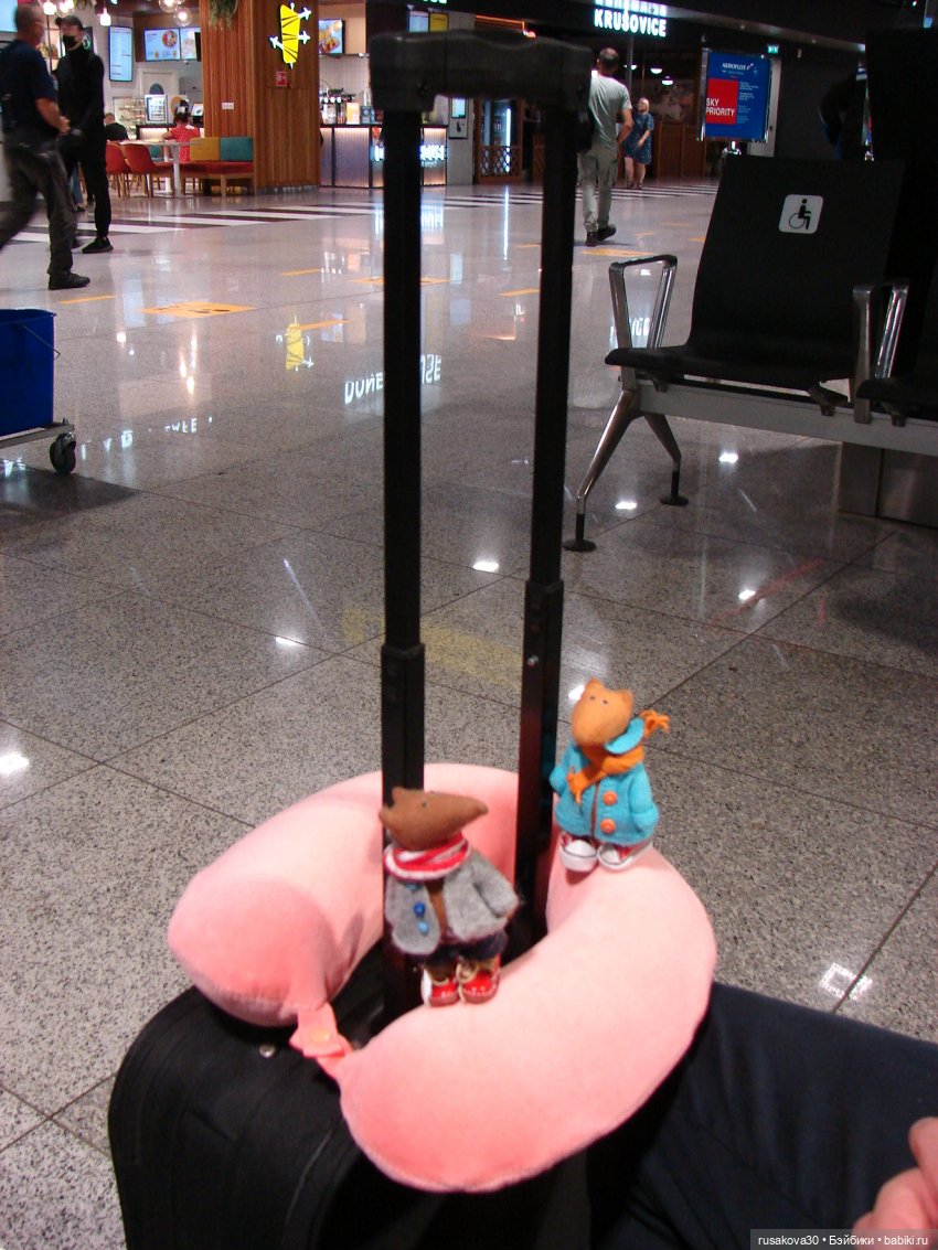 Отпуск в Новосибирске — Авторские мишки Тедди и друзья: фото (фото 2)