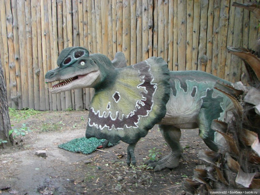 Новосибирский зоопарк — Туризм и путешествия: фотоотчеты из поездок