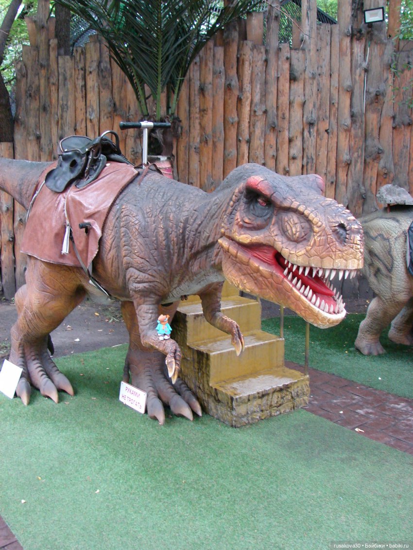 Новосибирский зоопарк — Туризм и путешествия: фотоотчеты из поездок