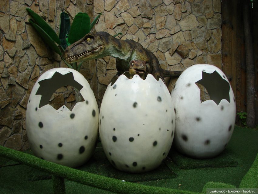 Новосибирский зоопарк — Туризм и путешествия: фотоотчеты из поездок