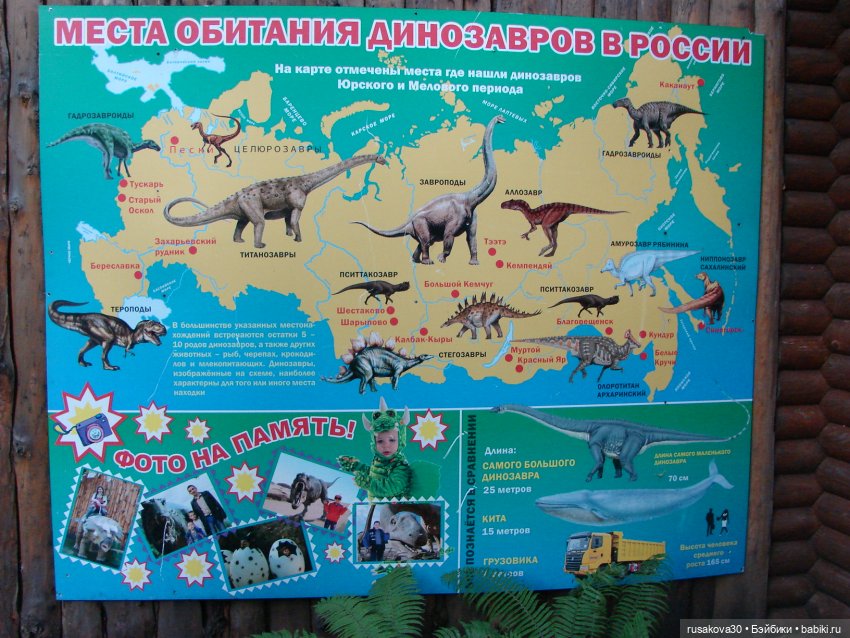 Новосибирский зоопарк — Туризм и путешествия: фотоотчеты из поездок (фото 7)