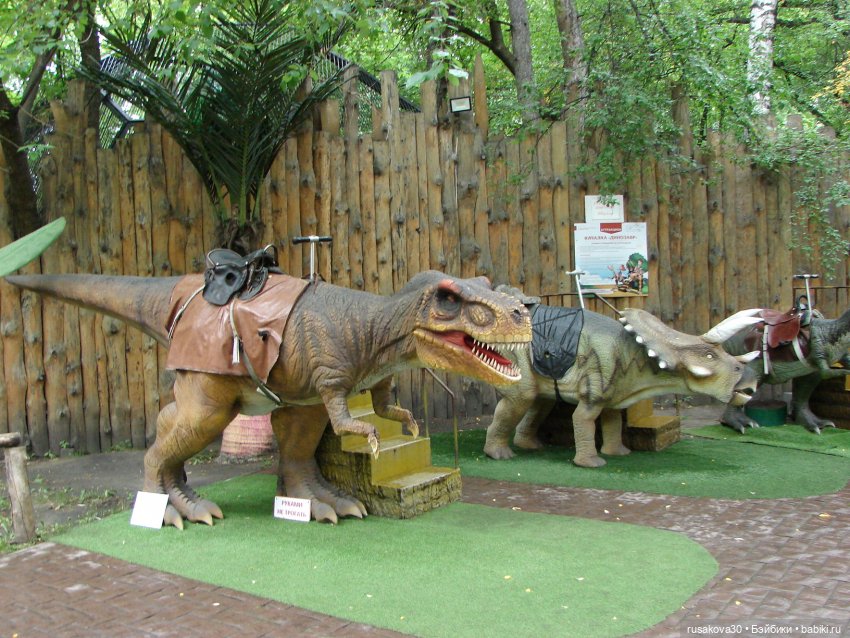 Новосибирский зоопарк — Туризм и путешествия: фотоотчеты из поездок