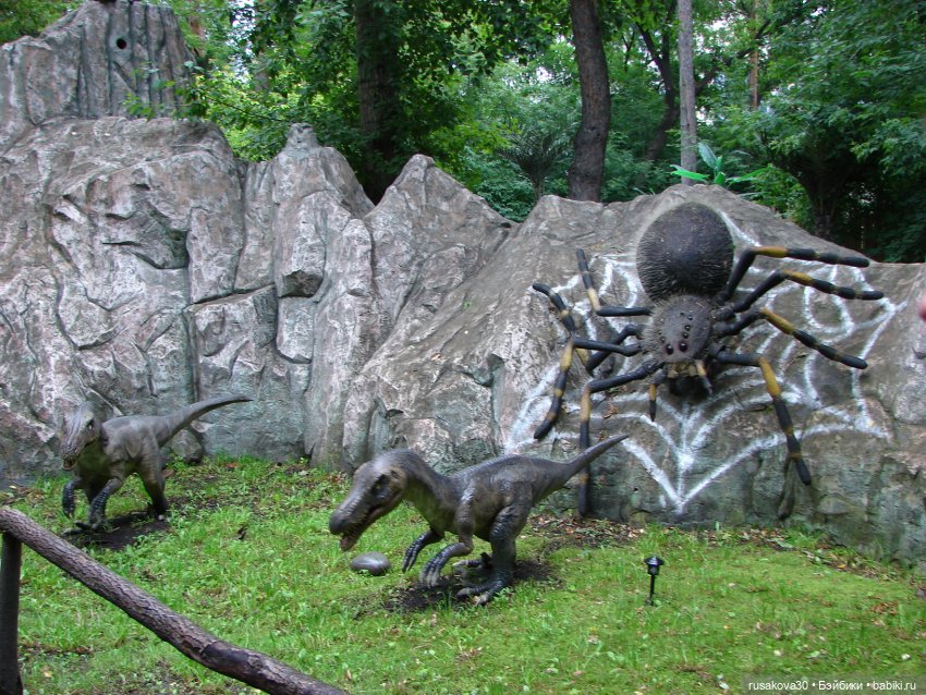 Новосибирский зоопарк — Туризм и путешествия: фотоотчеты из поездок