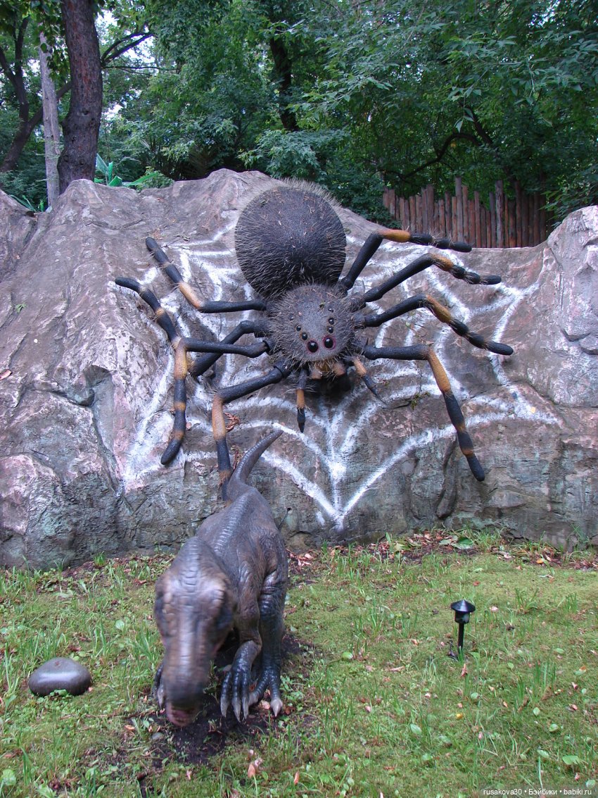 Новосибирский зоопарк — Туризм и путешествия: фотоотчеты из поездок