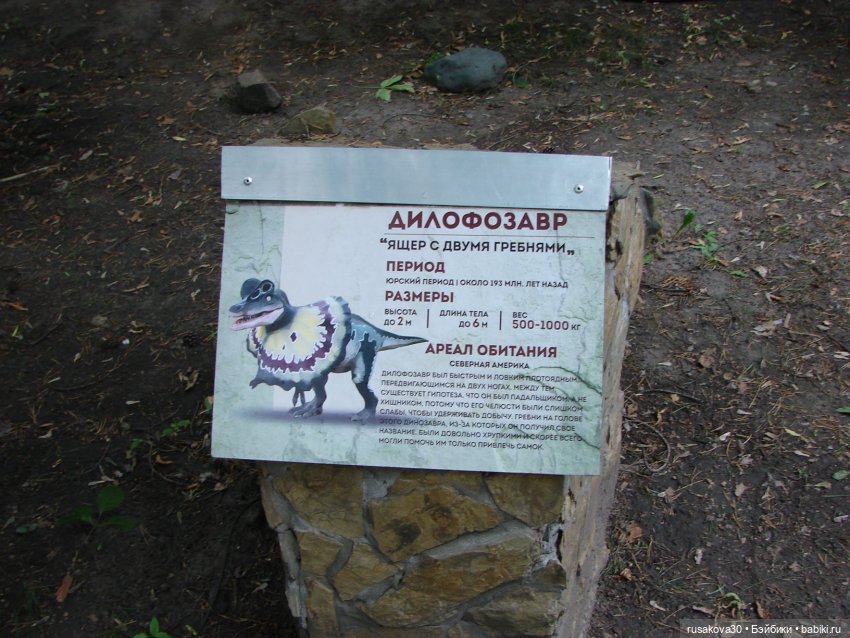 Новосибирский зоопарк — Туризм и путешествия: фотоотчеты из поездок