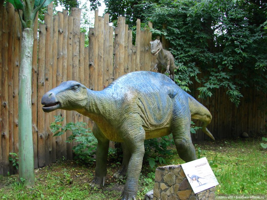 Новосибирский зоопарк — Туризм и путешествия: фотоотчеты из поездок (фото 9)