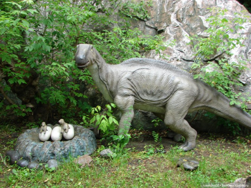 Новосибирский зоопарк — Туризм и путешествия: фотоотчеты из поездок