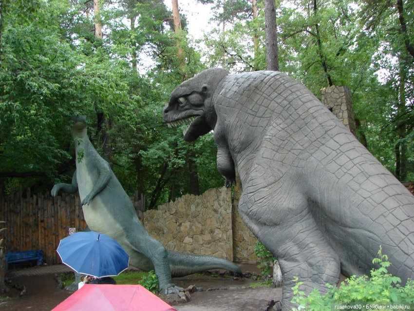 Новосибирский зоопарк — Туризм и путешествия: фотоотчеты из поездок (фото 8)