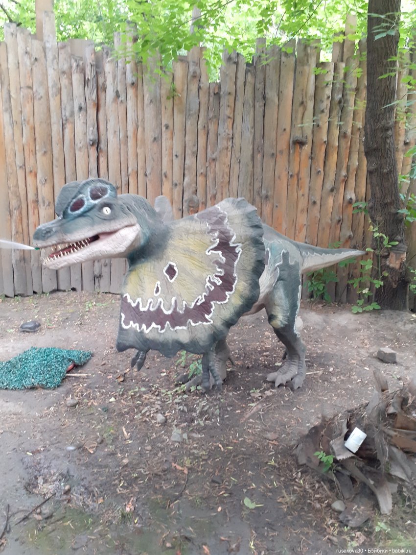 Новосибирский зоопарк — Туризм и путешествия: фотоотчеты из поездок