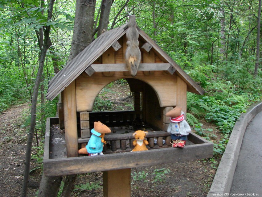 Новосибирский зоопарк — Туризм и путешествия: фотоотчеты из поездок (фото 2)