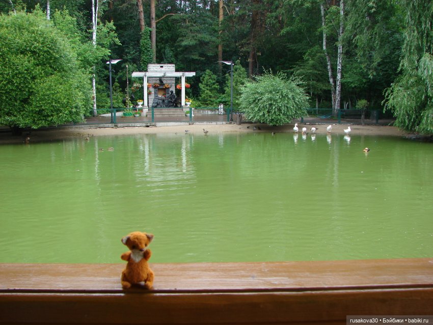 Новосибирский зоопарк — Туризм и путешествия: фотоотчеты из поездок (фото 4)