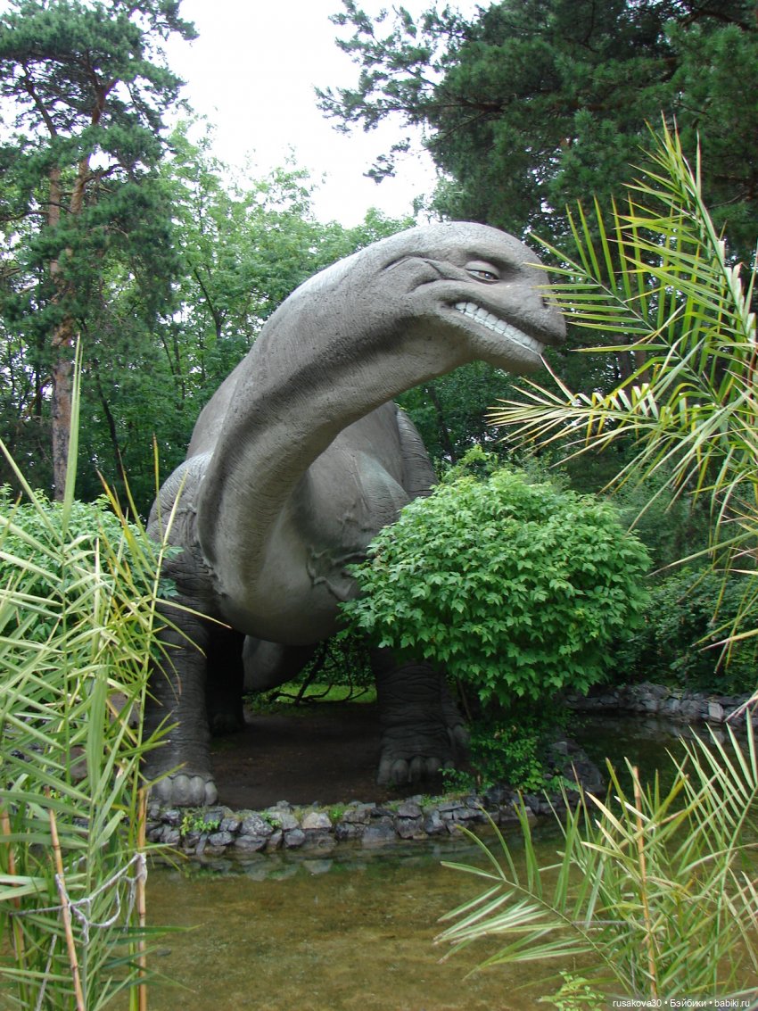 Новосибирский зоопарк — Туризм и путешествия: фотоотчеты из поездок (фото 5)