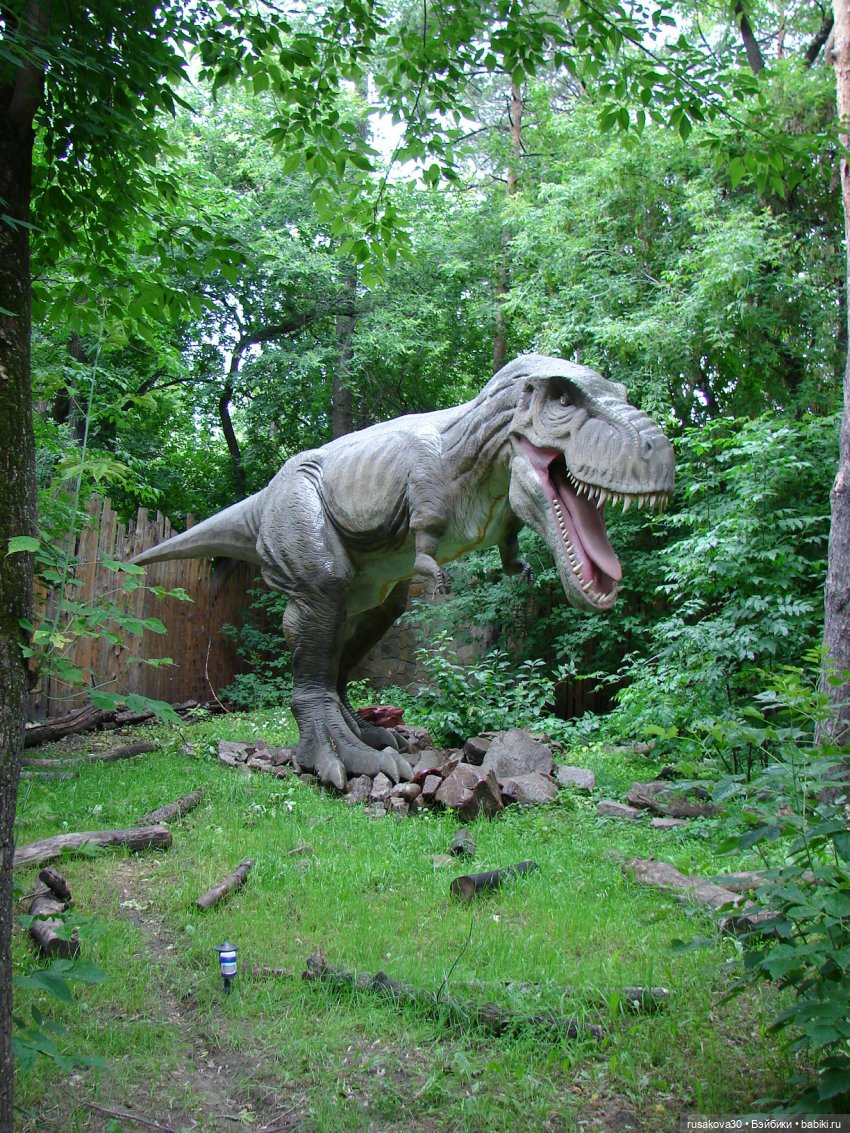 Новосибирский зоопарк — Туризм и путешествия: фотоотчеты из поездок