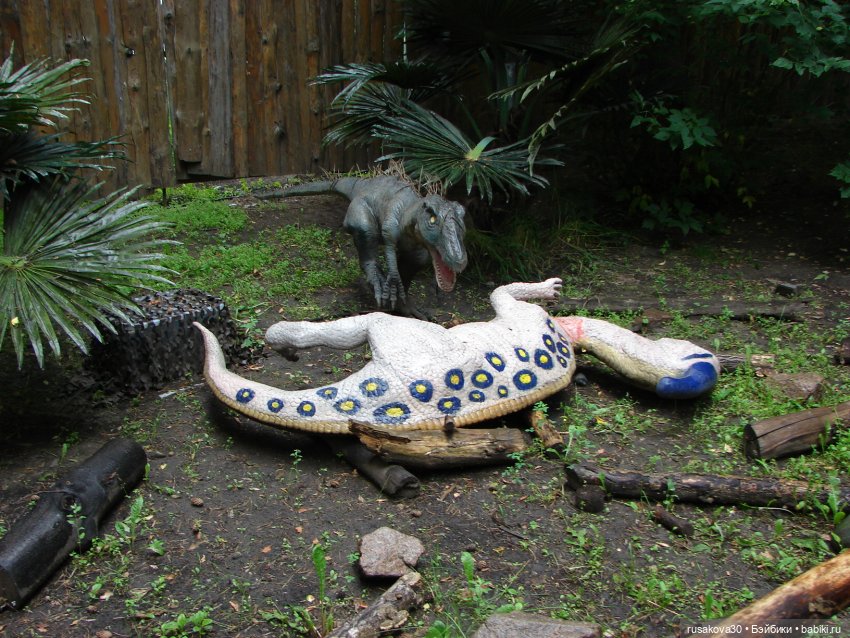 Новосибирский зоопарк — Туризм и путешествия: фотоотчеты из поездок