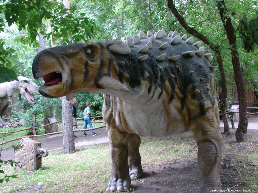 Новосибирский зоопарк — Туризм и путешествия: фотоотчеты из поездок (фото 10)