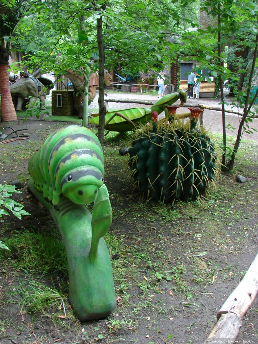 Новосибирский зоопарк — Туризм и путешествия: фотоотчеты из поездок