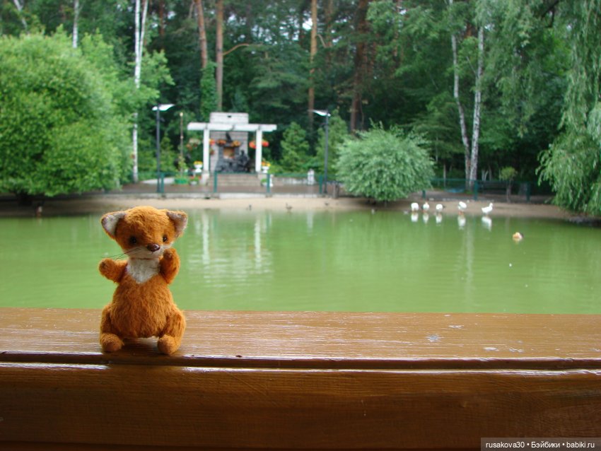 Новосибирский зоопарк — Туризм и путешествия: фотоотчеты из поездок (фото 3)