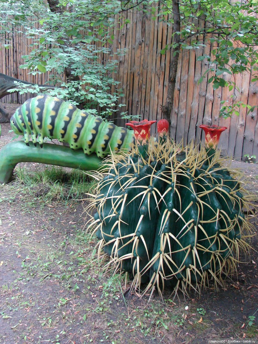 Новосибирский зоопарк — Туризм и путешествия: фотоотчеты из поездок