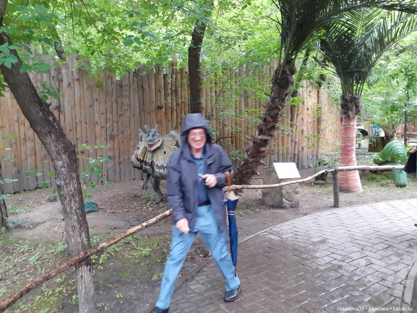 Новосибирский зоопарк — Туризм и путешествия: фотоотчеты из поездок