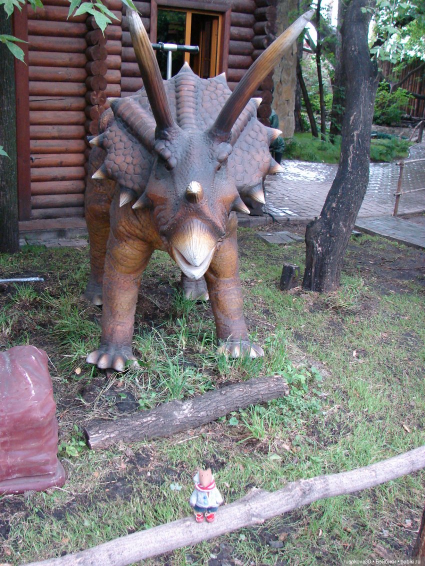 Новосибирский зоопарк — Туризм и путешествия: фотоотчеты из поездок