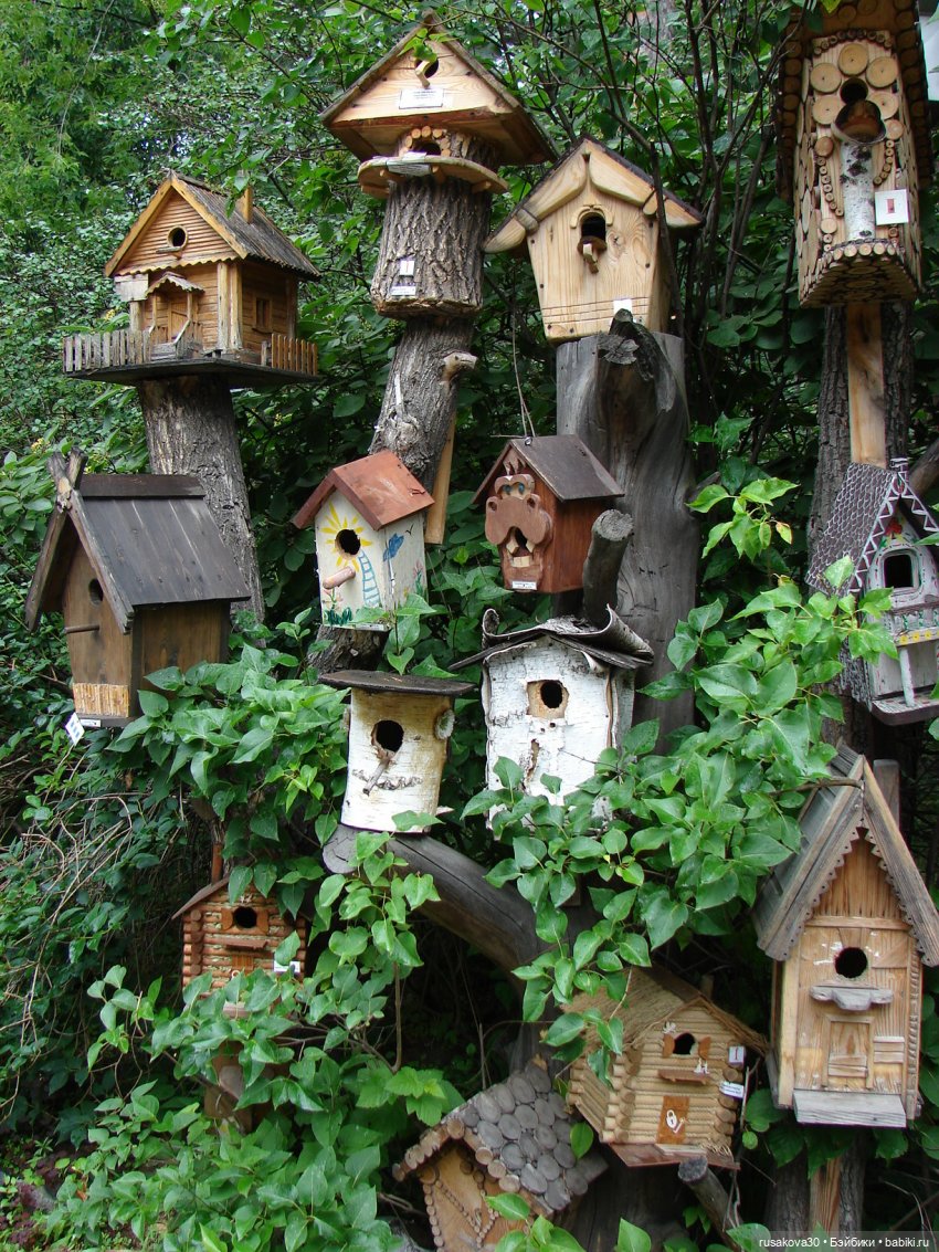 Новосибирский зоопарк (продолжение) (фото 4)