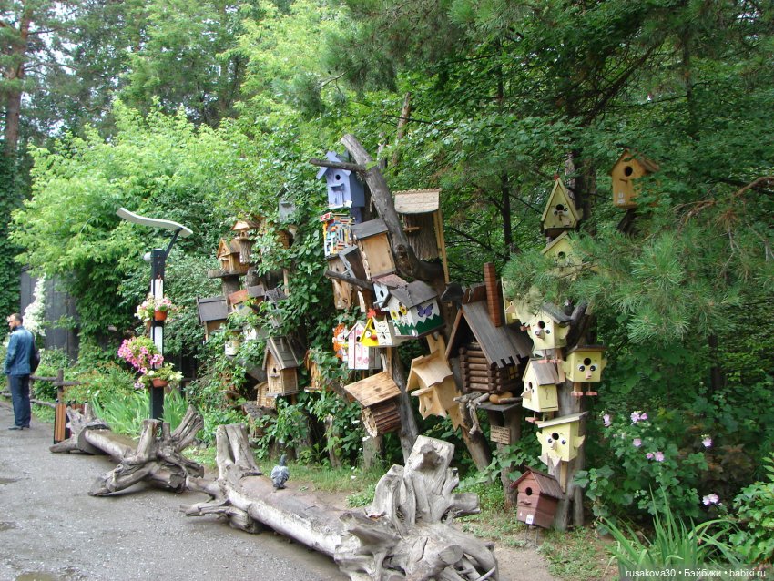 Новосибирский зоопарк (продолжение)