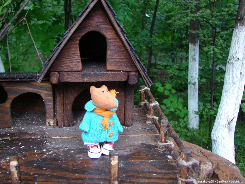 Новосибирский зоопарк (продолжение) (фото 5)