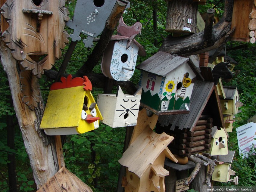 Новосибирский зоопарк (продолжение) (фото 3)