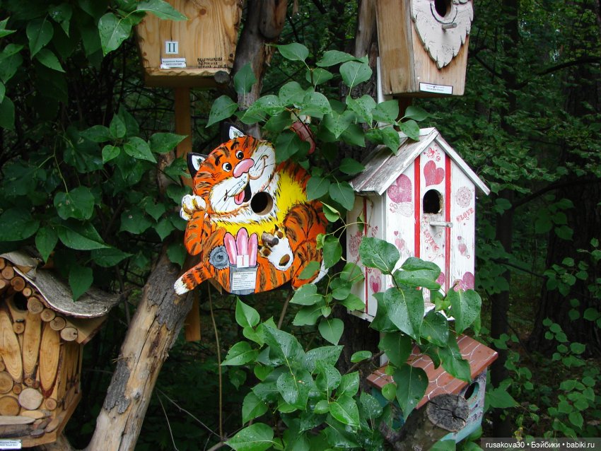 Новосибирский зоопарк (продолжение) (фото 2)