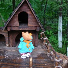 Новосибирский зоопарк (продолжение)