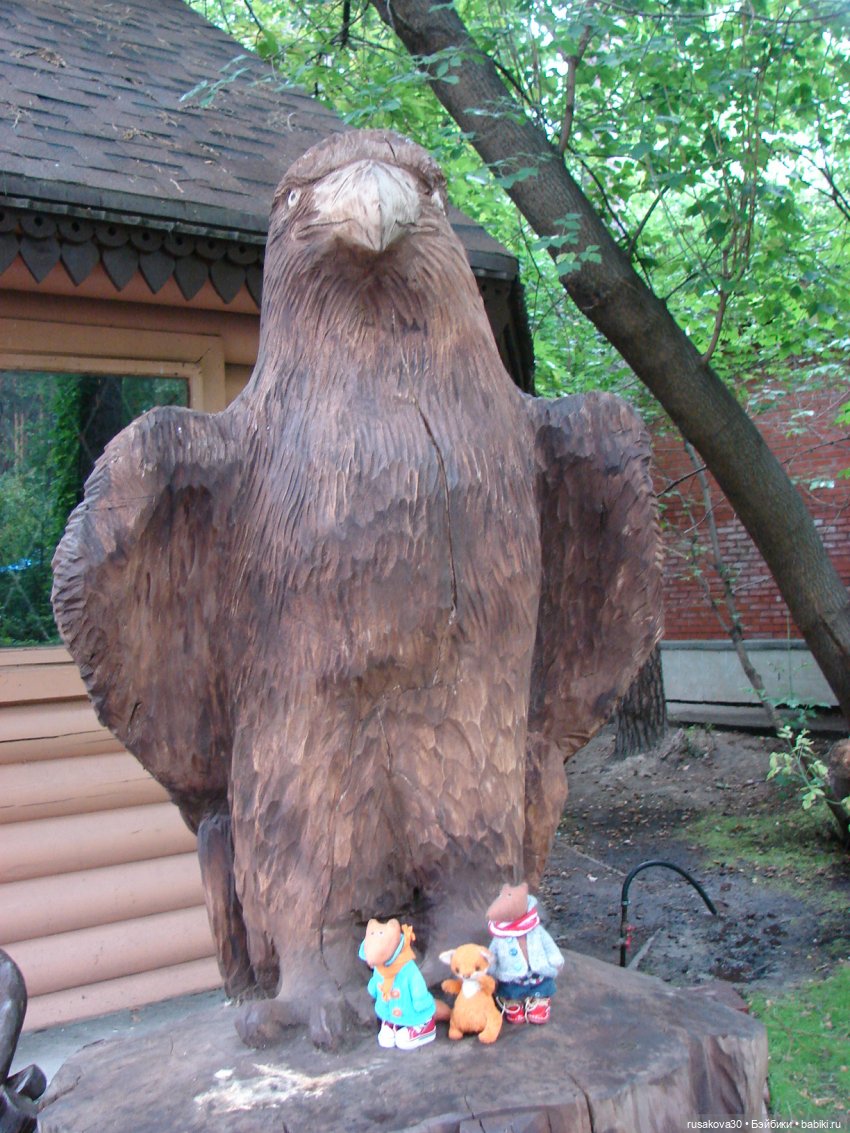 Новосибирский зоопарк (продолжение)