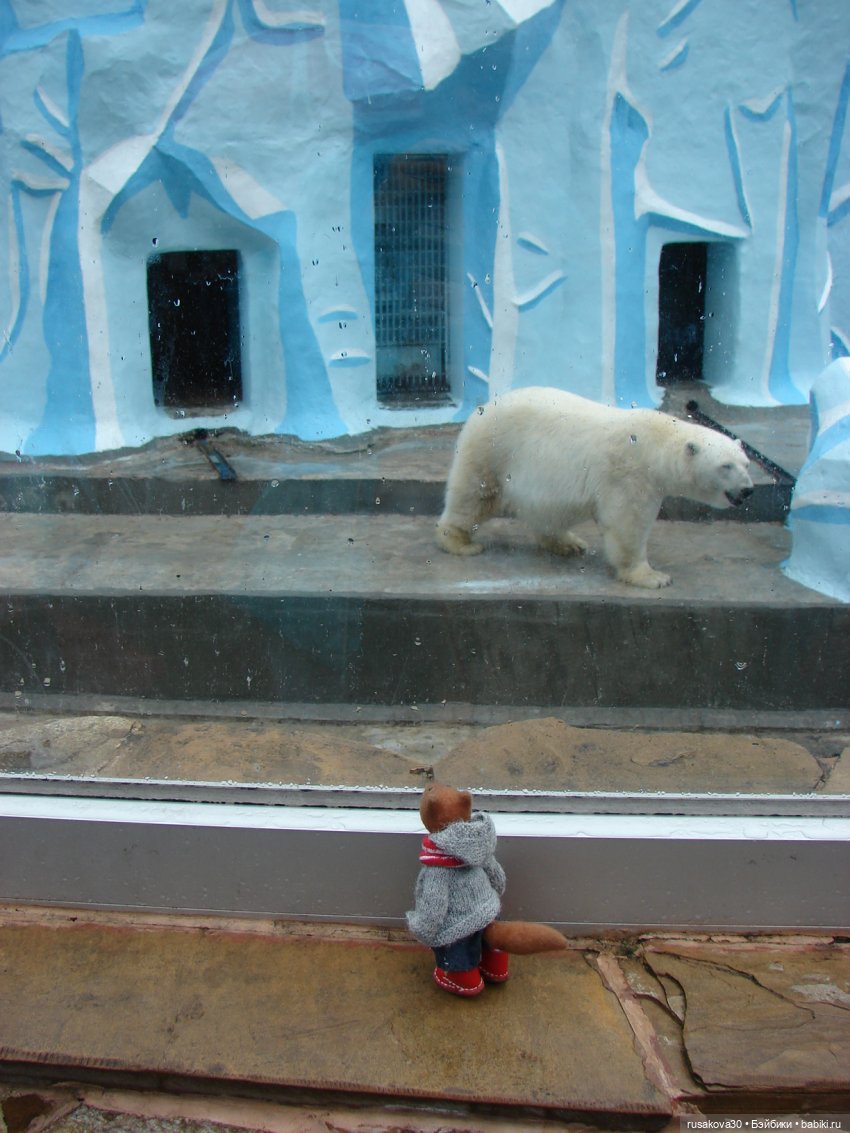 Новосибирский зоопарк (продолжение) (фото 6)