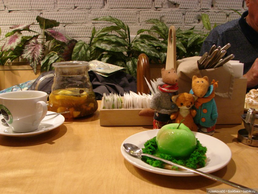 Новосибирский зоопарк (продолжение)