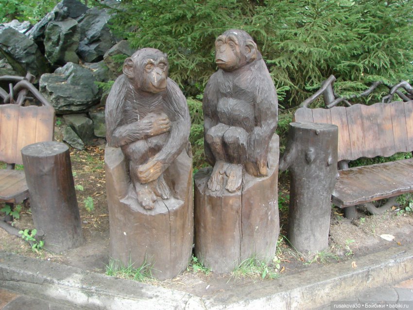 Новосибирский зоопарк (продолжение)