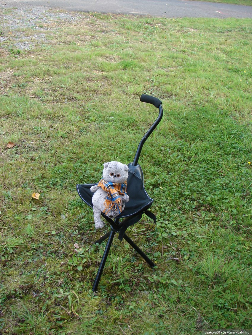 РуссоТуристо - Басик — Кот Басик