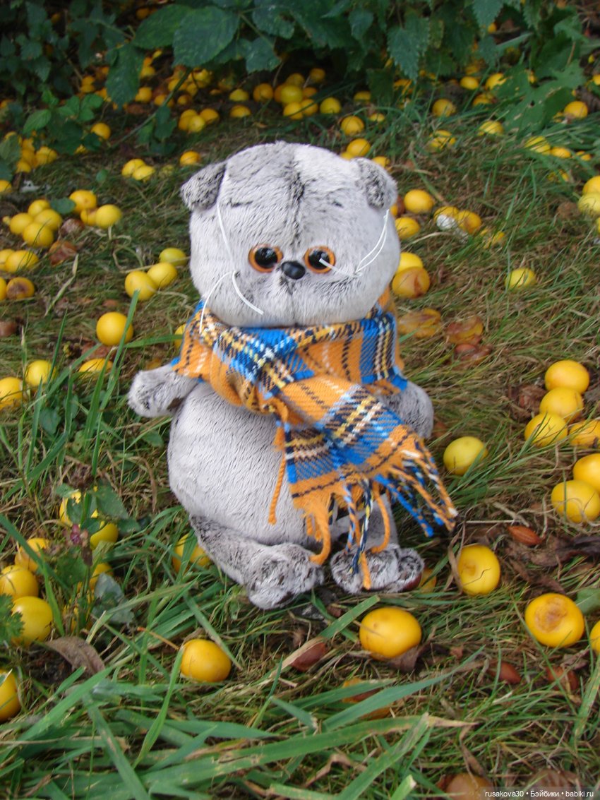 РуссоТуристо - Басик — Кот Басик